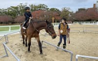ワンヘルスパークでは馬など動物と触れ合える(福岡市)=福岡県提供