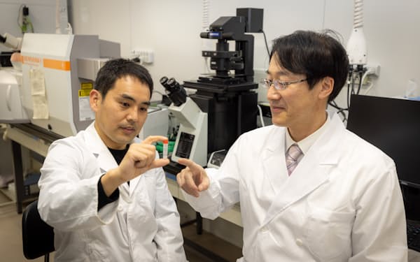 がん細胞を殺す人工DNAを開発した＝東京大学の岡本晃充教授提供