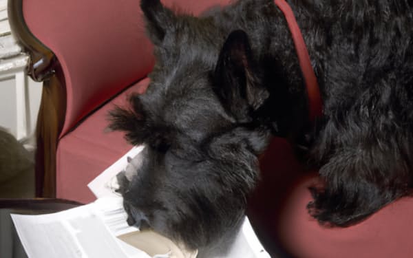「機密文書を食べてしまったブッシュ元大統領の愛犬」。まるで写真のようなこの画像もAIによる自動生成だ