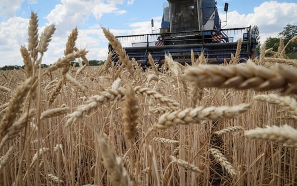 ウクライナ産穀物の輸出合意が延長できなければ、穀物価格は大きく上昇するとみられる＝ロイター