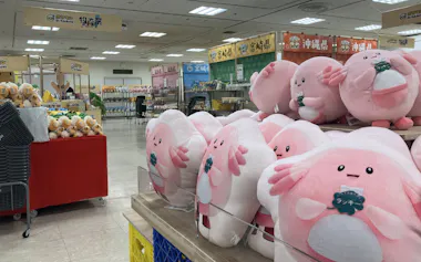 うすい百貨店ではポケモンの物産展を開いた(24日、福島県郡山市)