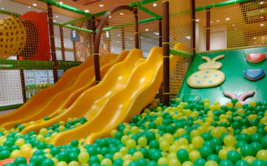The Kidsは施設ごとにジャングルジムやボールプールなどの幅広い遊具をそろえる
