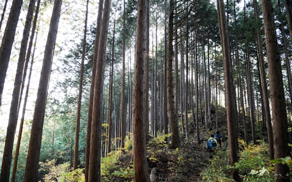 東京23区と多摩地域は森林整備で広域連携する