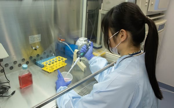 iPS細胞を用いたCAR-T療法の効果を固形がん向けで高める技術開発を進める＝京都大学iPS細胞研究所提供
