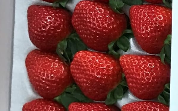 野菜ソムリエが選ぶイチゴ品評会で日本一となる最高金賞を獲得した埼玉県の品種「あまりん」