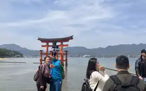 国内外からの観光客でにぎわう宮島(4月) 国内外からの観光客でにぎわう宮島(4月)