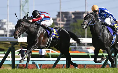 混戦とされた皐月賞を制したのは2歳時にGⅠを勝った実績馬のロブチェンだった。右は2着のリアライズシリウス=共同
