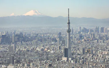 東京スカイツリーと富士山