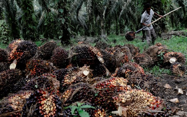 インドネシアはパーム油の国内供給を重視する（ロイター）