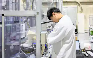 半導体基板の製膜を準備するパテンティクスのスタッフ(2024年9月、滋賀県草津市)=同社提供 半導体基板の製膜を準備するパテンティクスのスタッフ(2024年9月、滋賀県草津市)=同社提供