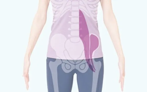 腰痛、股関節ケアのカギ「腸腰筋」