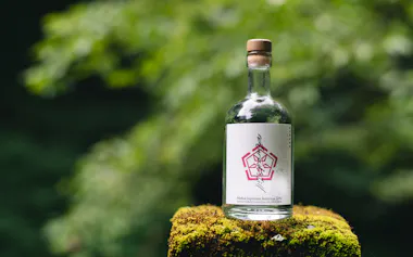 Kokageが作るクラフトジン「naturadistill固有種蒸溜酒」