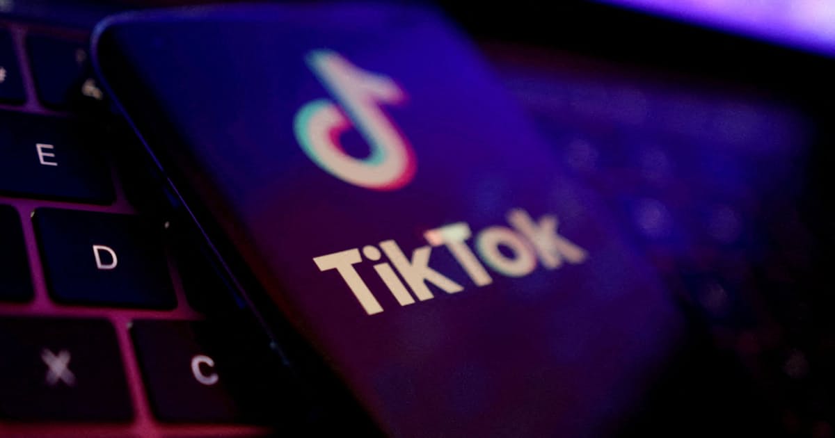 TikTokに政治の逆風、急成長に陰り(写真=ロイター) - 日本経済新聞