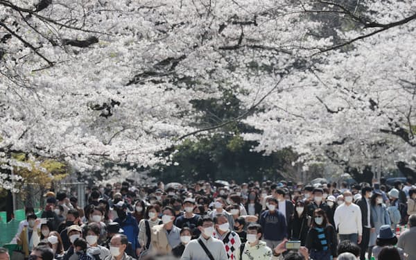 東京都は2020〜22年の花見シーズンに都立公園で宴会自粛を求めていた（21年の上野公園）