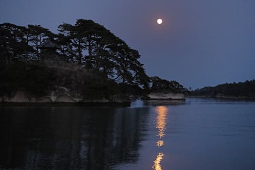 魯迅と私は一緒に月夜の松島を眺めるつもりが、おしゃべりに興じてすっかり忘れてしまった