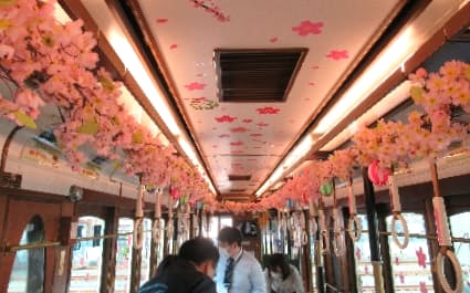 車内を桜で装飾した「都電さくら号」も運行する（2020年の都電さくら号）