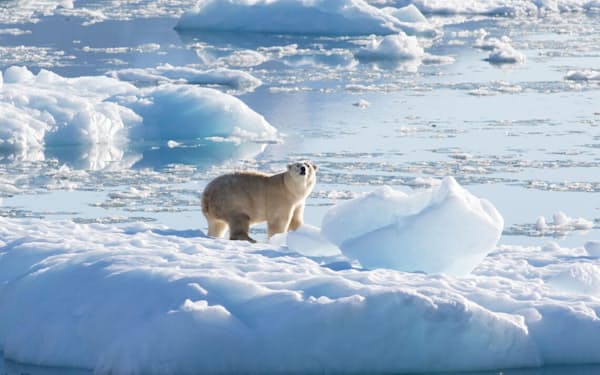 投資家の４割が気候変動問題の取り組みを重視する（グリーンランドの氷河で撮影されたホッキョクグマ、NASA提供）