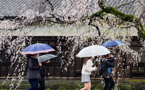 一般公開された皇居の乾通りを歩き、桜を楽しむ人たち（25日）