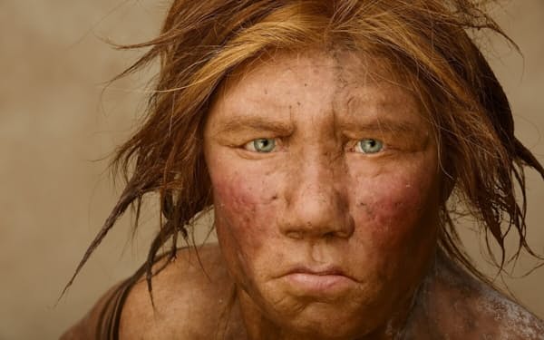 DNAの証拠を用いて作られたネアンデルタール人の女性の復元像。私たちの古代の祖先であるネアンデルタール人は、現生人類と似ているが、目の上が張り出しており、目と歯が大きい。科学者たちは、当初考えられていたよりも彼らは知的だったと考えている。（PHOTOGRAPH BY JOE MCNALLY, NAT GEO IMAGE COLLECTION）