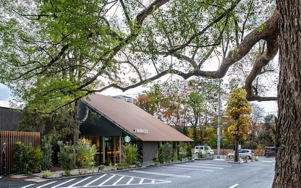 スターバックスの西東京新町店。敷地内のイトヒバやアオギリの樹木を残し、間近に眺められるよう店舗を建てた
