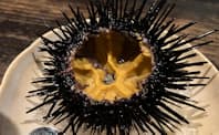 ウニノミクスが蓄養したムラサキウニの中は星形の黄色い身（生殖巣）がつまっている（写真は山口県長門市内の飲食店が提供する殻付きウニ）


