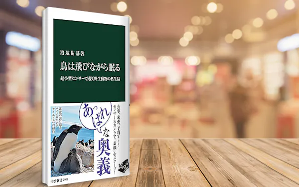 飛ぶ鳥の睡眠は細切れだった