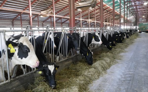 飼料価格高騰が酪農経営を圧迫している（22年5月、北海道清水町）