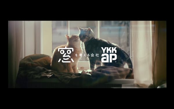 窓と猫のテレビＣＭ