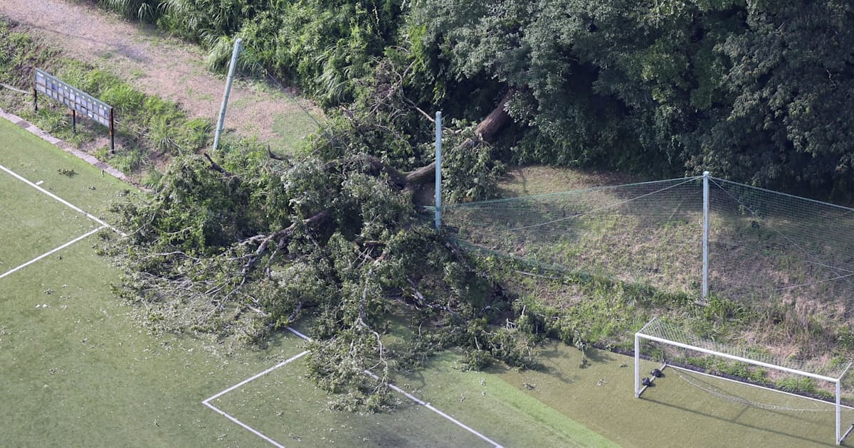 静岡のサッカーグラウンドで倒木か、女児ら7人搬送 命に別条なし
