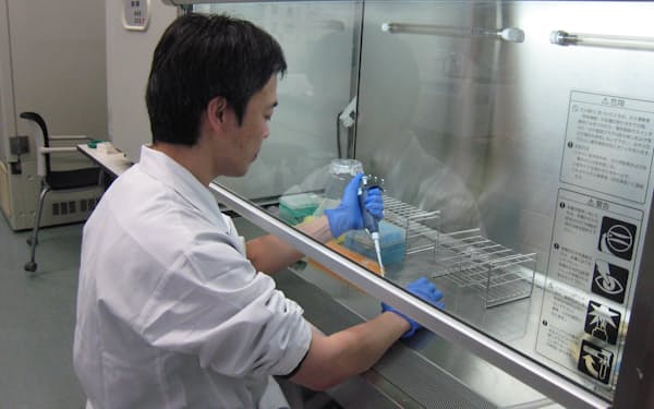 膠芽腫では細胞の増殖を抑えるたんぱく質の働きが低下していた＝広島大学提供