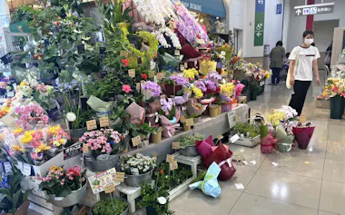 地震で棚から品物が落下したショッピングモールの店舗(28日、熊本県菊陽町)=共同