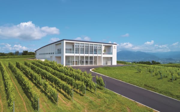 醸造施設やワインセラーを英語で案内し、6種のワインの試飲も(長野県上田市)