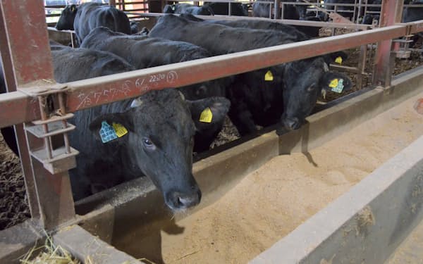 国産牛は日本の農水産物輸出の重点品目となっている