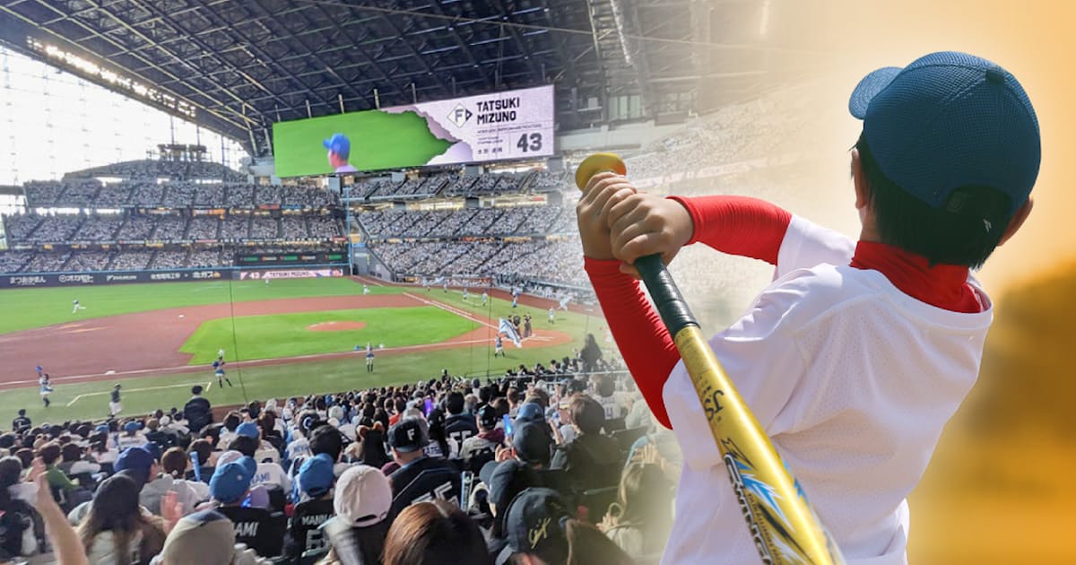 プロ野球観客数最高でも…球児4割減 ボール遊び禁止や親の負担増加 - 日本経済新聞