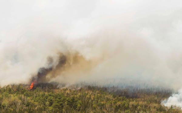 カナダ東部では山火事が多発している（カナダ東部ノバスコシア州）=ロイター