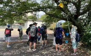 埼玉県幸手市で行われたクビアカツヤカミキリの捕獲イベント(8月上旬)=シンコースポーツ提供 埼玉県幸手市で行われたクビアカツヤカミキリの捕獲イベント(8月上旬)=シンコースポーツ提供