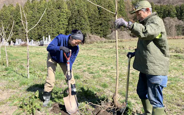 壺下地区ではウルシの木を植える(福島県猪苗代町)