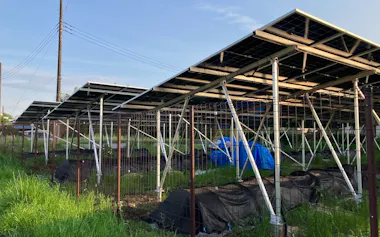 ミツウロコアグリはさいたま市内の農園で営農型太陽光発電を始めた