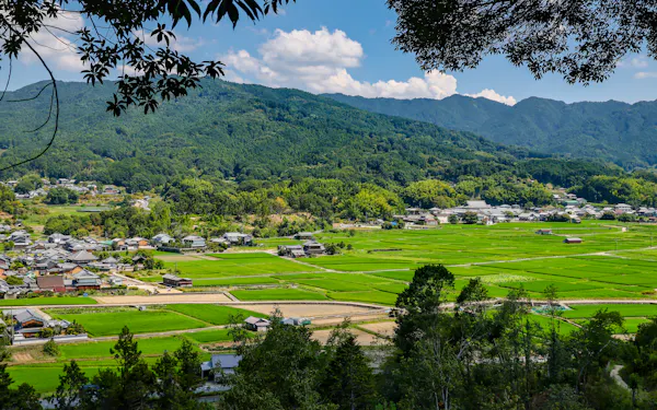 標高148mある甘樫丘からは飛鳥寺や飛鳥京跡など遺跡が点在する田園景観を見渡せる(8月、奈良県明日香村)
