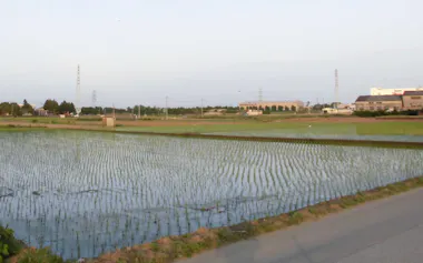 関宿元町地区の工業団地予定地(千葉県野田市)=同市提供