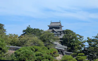 松江市内の代表的な観光スポットである松江城