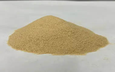 不二製油が開発したペット向け大豆たんぱく素材