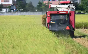 コメ政策見直しの2本柱が早くも壁に直面している コメ政策見直しの2本柱が早くも壁に直面している