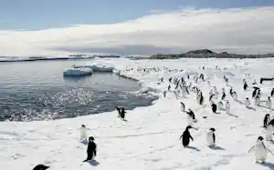 南極大陸の氷床に大気の川が関係している可能性がある(2009年12月)=ロイター/Pauline Askin 南極大陸の氷床に大気の川が関係している可能性がある(2009年12月)=ロイター/Pauline Askin