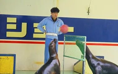アシカショー担当の飼育員として水族館に入った