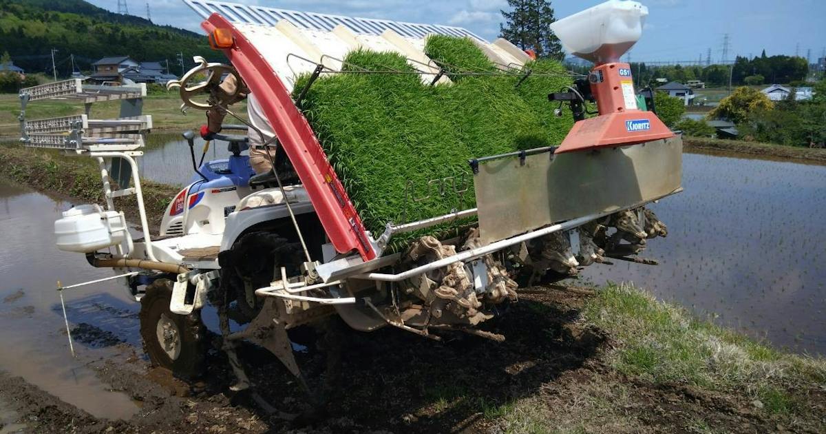 塚田農場、コメ不足に備え自社生産に着手 外食大手も調達リスクへ対応