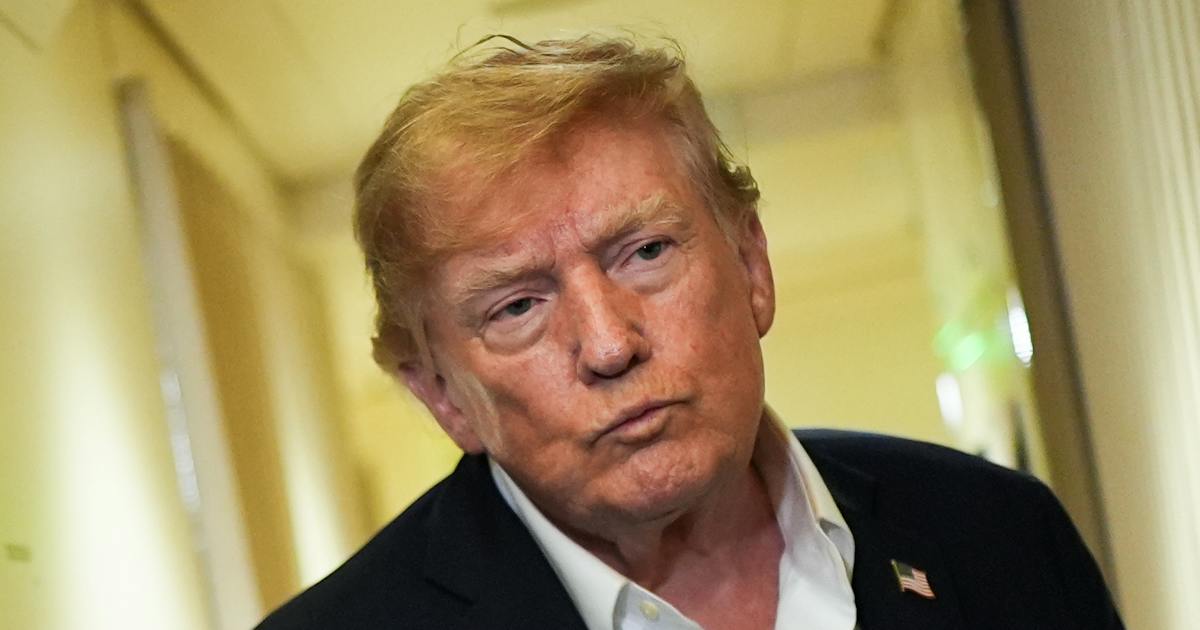 トランプ氏、AI懸念を陰謀と一蹴 「高IQの大統領いれば統制は十分」 - 日本経済新聞