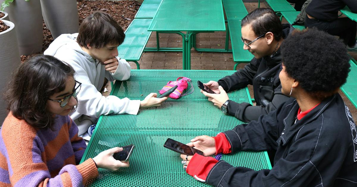 女性嫌悪「ミソジニー」SNSで増幅 ブラジルでは厳罰法案審議 - 日本経済新聞