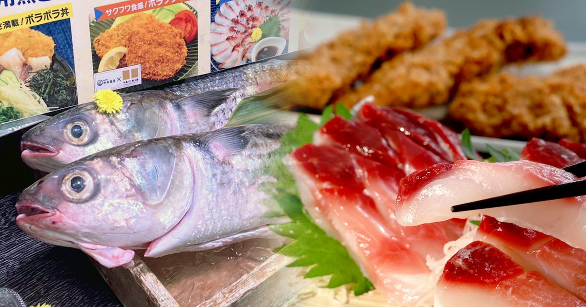 カラスミだけじゃない!ボラの意外な美味しさを再発見