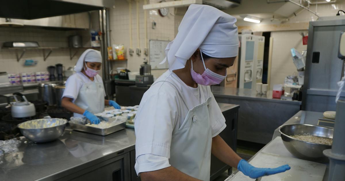 特定技能「給食・介護」採用枠に政府が区分変更案、制度の歪みが浮き彫りに